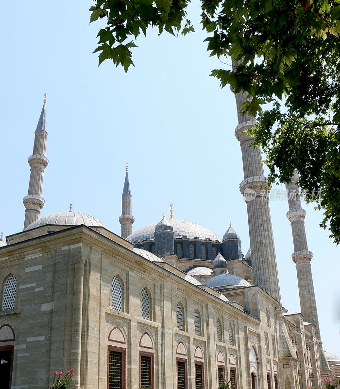 从花园看Edirne Selimiye清真寺